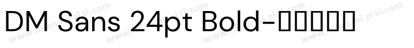 DM Sans 24pt Bold字体转换